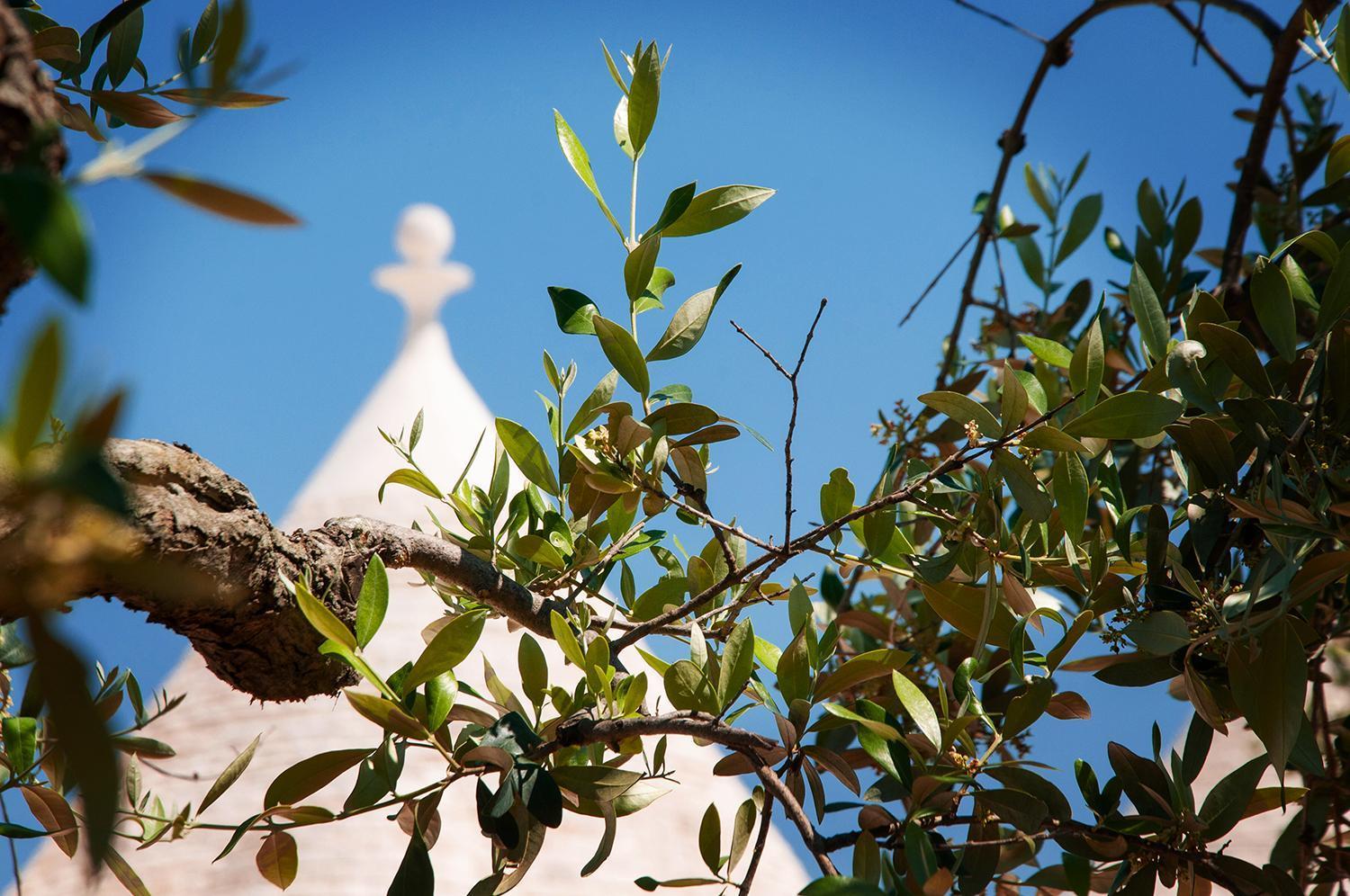 Trulli Loco Villa Locorotondo Exterior photo